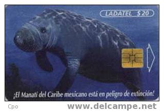 # MEXICO A37 Elephant Seal - Semarnap 20 So3 -animal-  Tres Bon Etat - Mexique