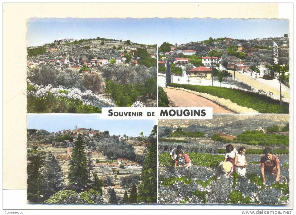 L 222 MOUGINS  SOUVENIR 1959 - Mougins