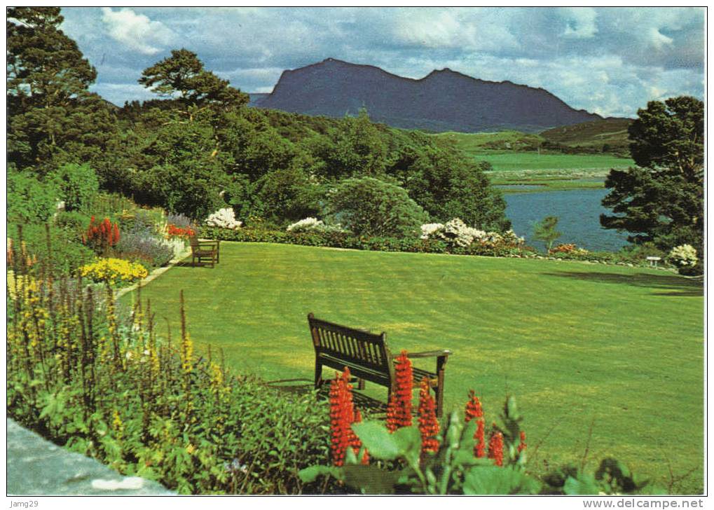 U.K., Scotland, Poolewe, Beinn Airigh Charr Viewed From Inverewe Garden, Ca. 1970 - Inverness-shire