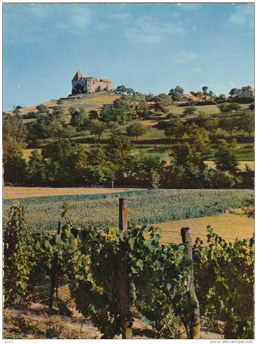 SAINT POURCAIN SUR SIOULE - Au Milieu Des Vignobles L'ancien Bastion De Louchy Montfand - Autres & Non Classés