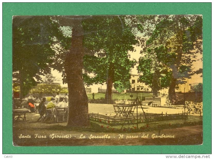 CARTOLINA-SANTA FIORA-LA SERENELLA-IL PARCO DEL GAMBRINUS - Grosseto