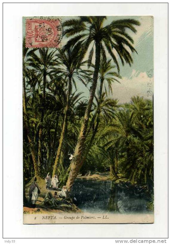 - FRANCE COLONIES . TUNISIE . AFFRANCHISSEMENT SIMPLE  SUR CP  DE 1905  POUR LA METROPOLE - Storia Postale