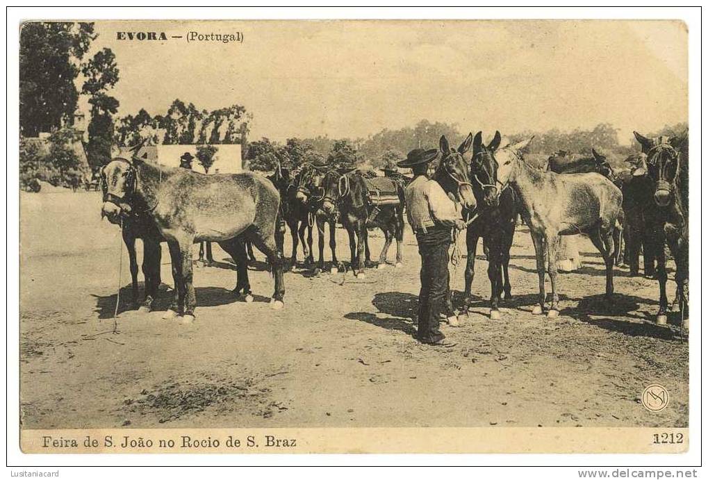 EVORA - FEIRAS E MERCADOS - Feira De S. João No Rocio De S. Braz Carte Postale - Evora