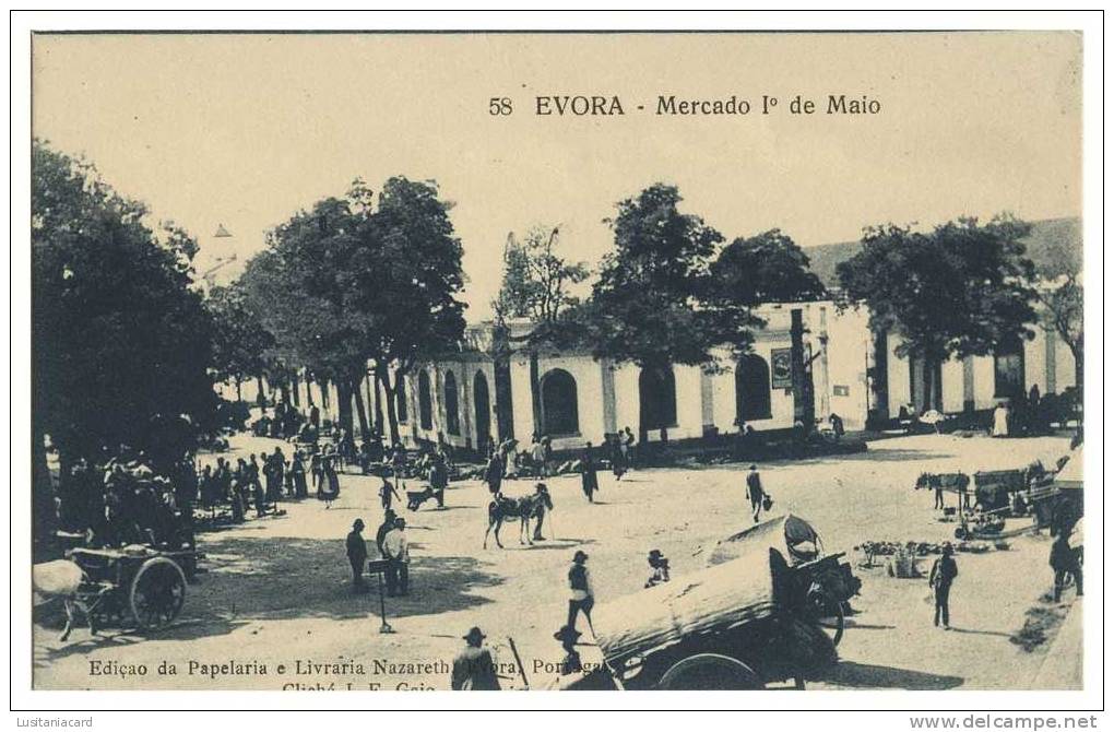 EVORA - FEIRAS E MERCADOS -  Mercado 1º De Maio Carte Postale - Evora