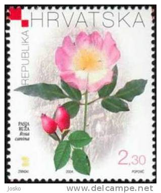 DOG-ROSE ( WILD BRIAR ) – Rosa Canina L. ( Croatie Timbre MNH**) églantine églantier Dog Rose Rosal Silvestre Escaramujo - Rosen