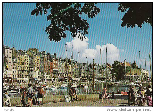 14 - HONFLEUR - LE VIEUX BASSIN, SAINTE CATHERINE - Honfleur