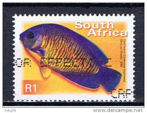 RSA+ Südafrika 2000 Mi 1295 Fisch - Used Stamps