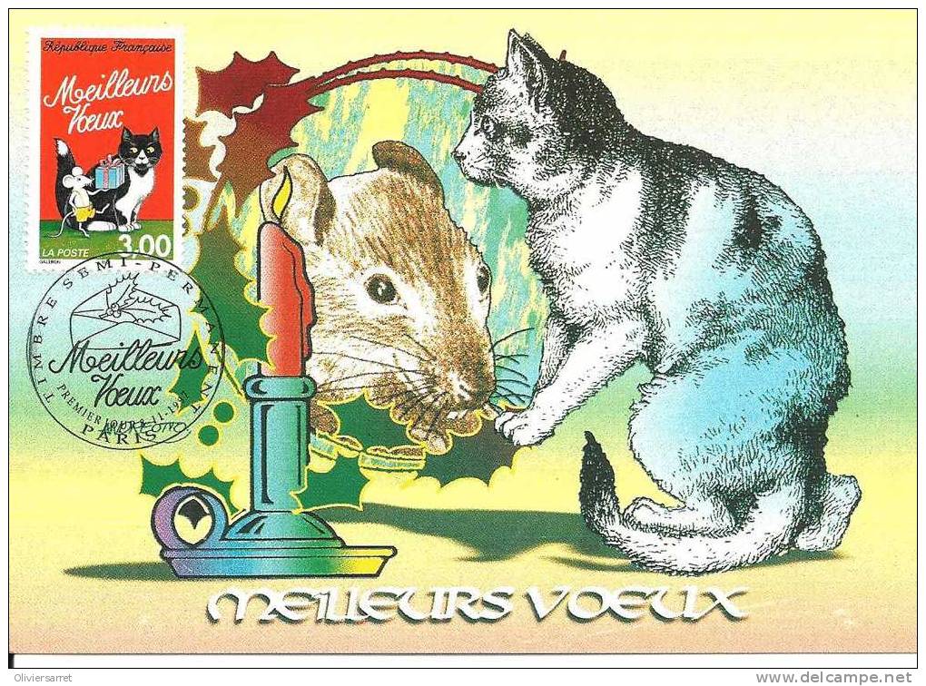 Le Chat - Domestic Cats