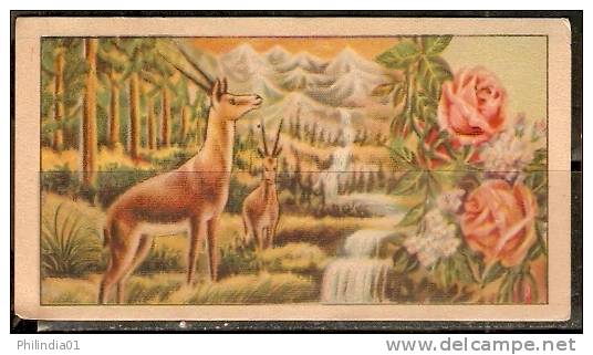 India Rose Deer  Waterfall Vintage Trade Textile Label Multi-colour - Other & Unclassified