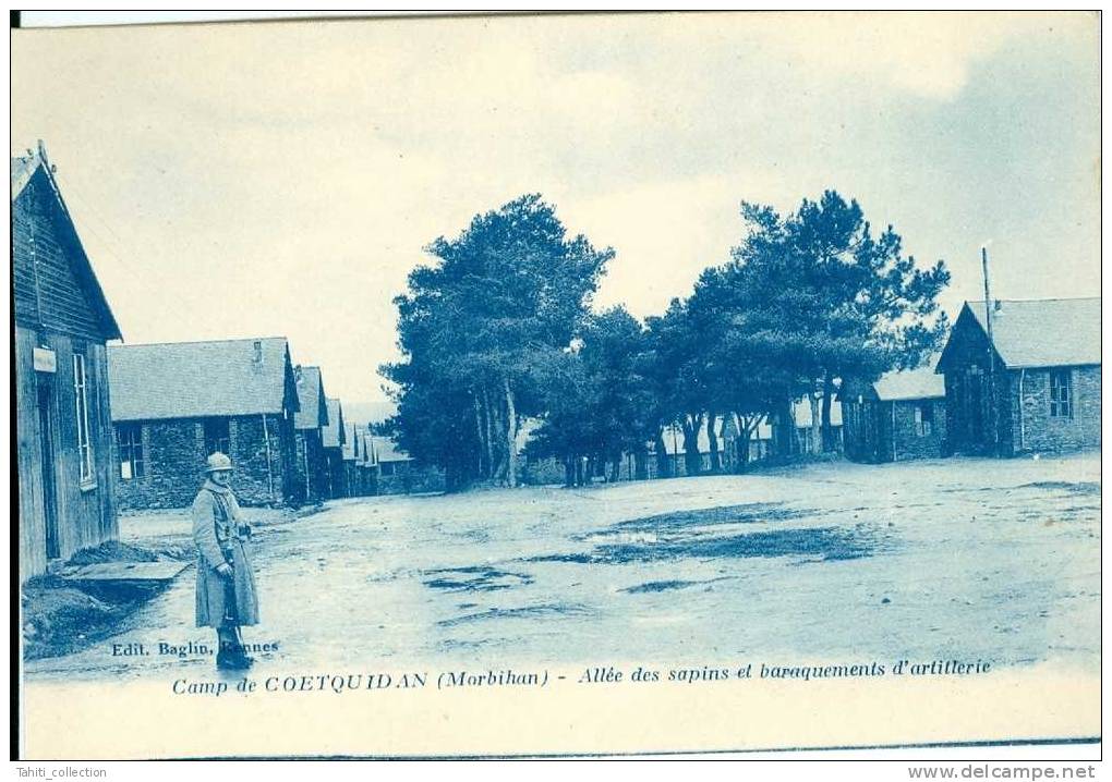 Camp De COËTQUIDAN - Allée Des Sapins Et Baraquement D'artillerie - Guer Coetquidan