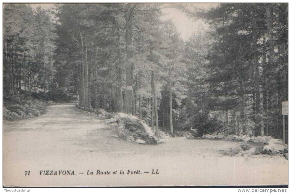 CPA FRANCE  20 Haute Corse - No.71 Vizzavona La Forêt Et La Foret  CORSE Corsica  EDIT LEVY & NEURDIN REUNIS PARIS - Autres & Non Classés