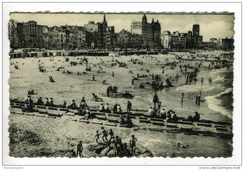 Blankenberghe - Blankenberge - Vue Générale De La Plage Et Digue - Algemeen Zicht Van Strand En Zeedijk - Blankenberge