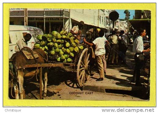 Coconut Cart, Downtown Port Of Spain, Trinidad, W.I.  1960s - Trinidad