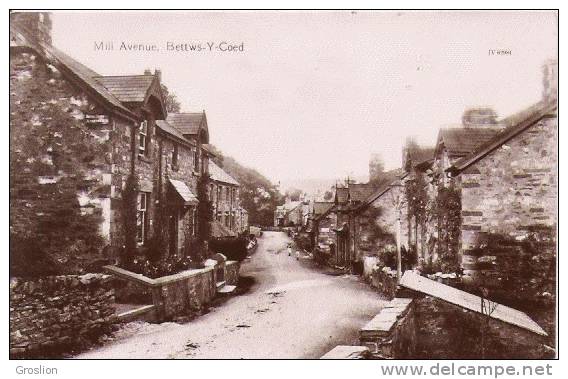 MILL AVENUE BETTWS Y COED CP PHOTO (IV 62981) - Caernarvonshire