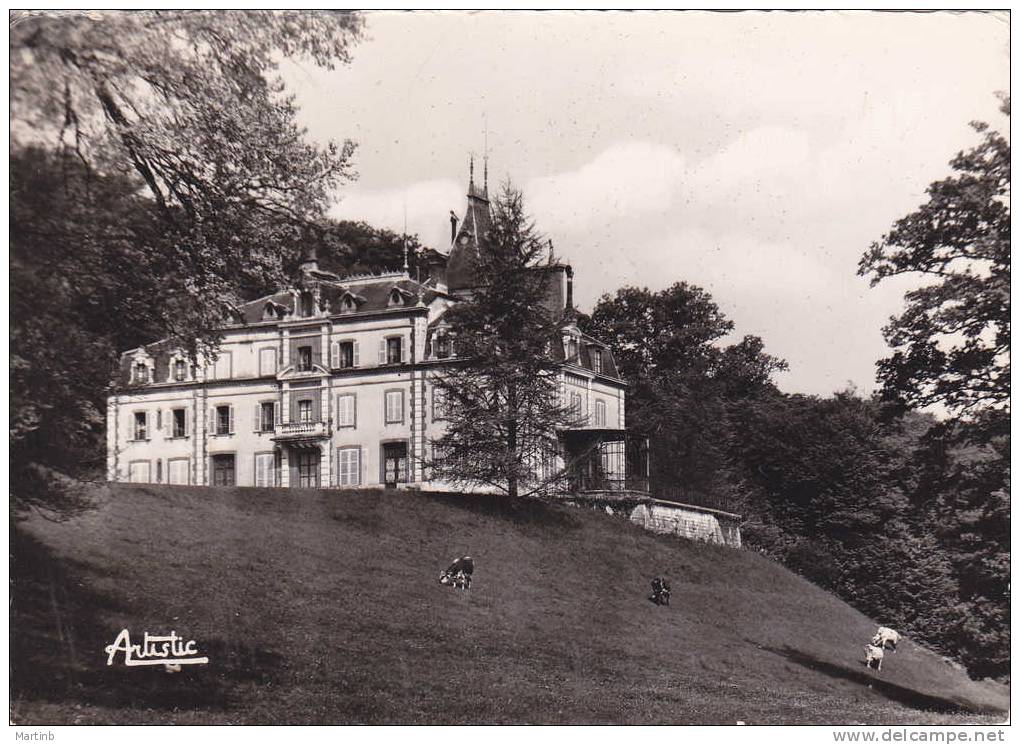 CPSM BLENEAU  Chateau De St Eusoge - Bleneau