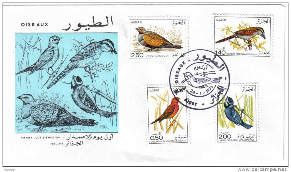 ALGERIA   FDC 1976 Birds  /   ALGERIE  Oiseaux - Sperlingsvögel & Singvögel