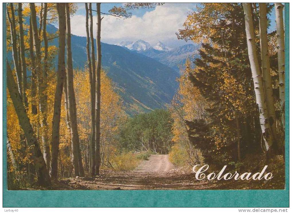 1 Cp Colorado Montains Of Southwestern - Otros & Sin Clasificación