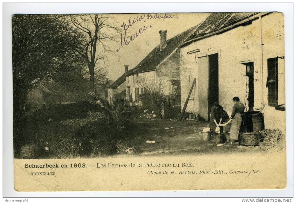 Schaerbeek - Schaarbeek - 1903 - Les Fermes De La Petite Rue Au Bois - Schaerbeek - Schaarbeek