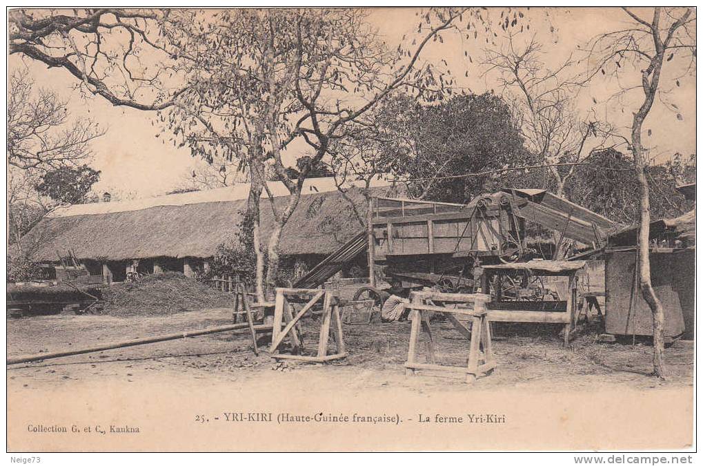 Cpa Yri-Kiri - La Ferme Yri-Kiri - Guinée