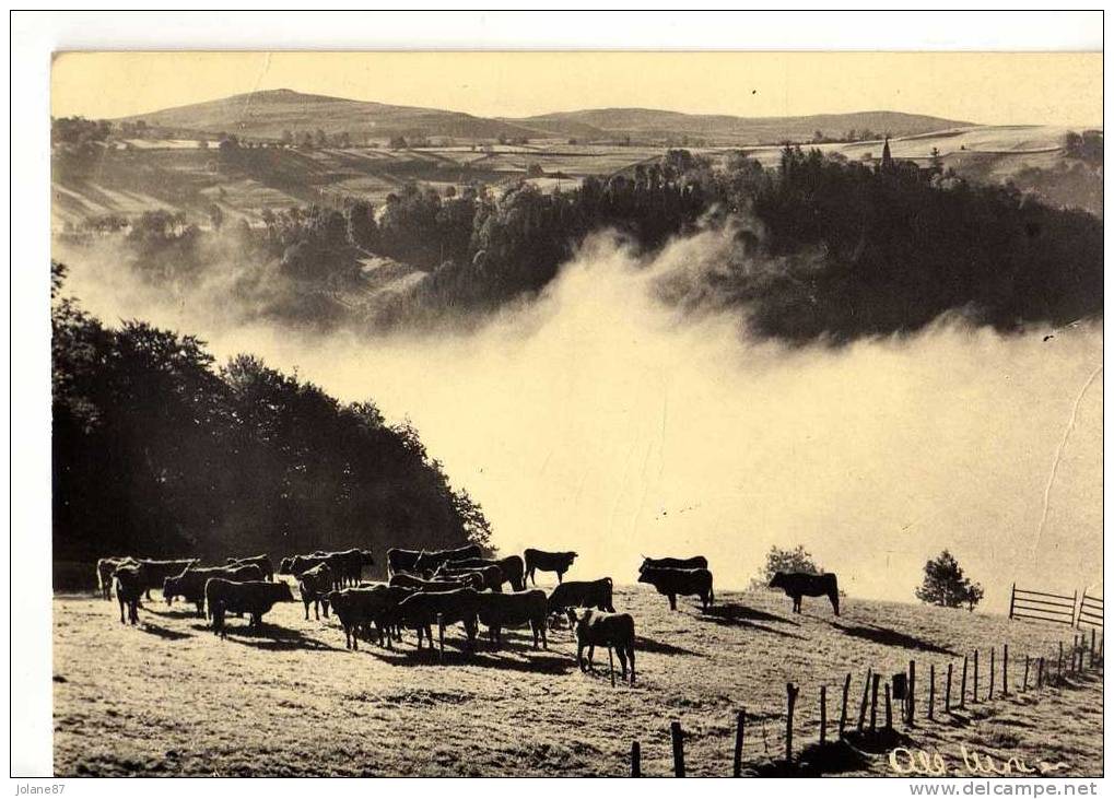 CPA     ALBERT MONIER         LE TROUPEAU DU BROUILLARD - Monier