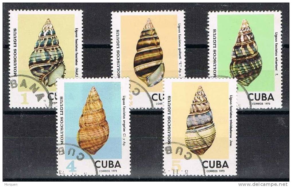 Cuba, Conchas Marinas, Caracolas, Año 1973 - Coneshells