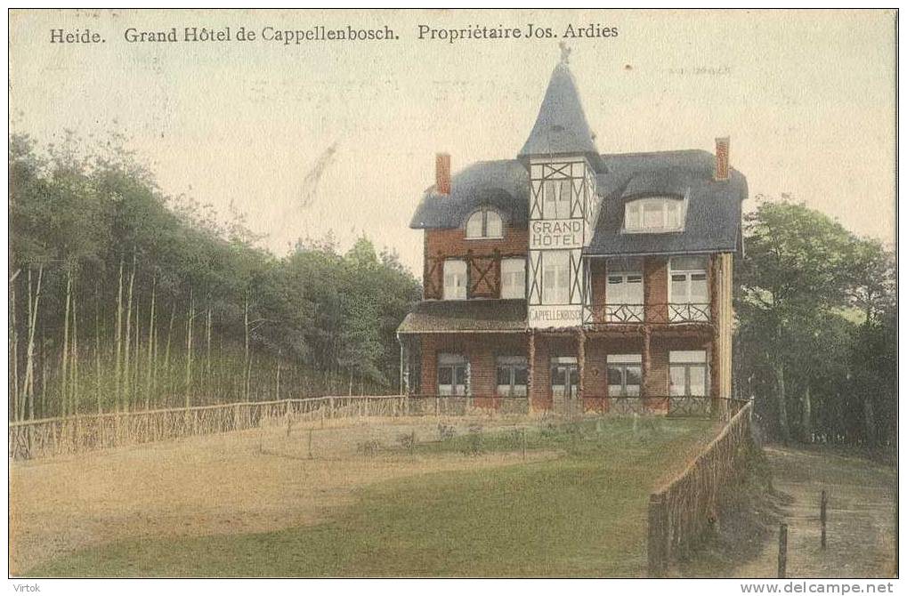 Heide - Kalmthout :  Grand Hotel De Cappelbosch  ( Geschreven Kaart Met Zegel 1911 ) - Kalmthout