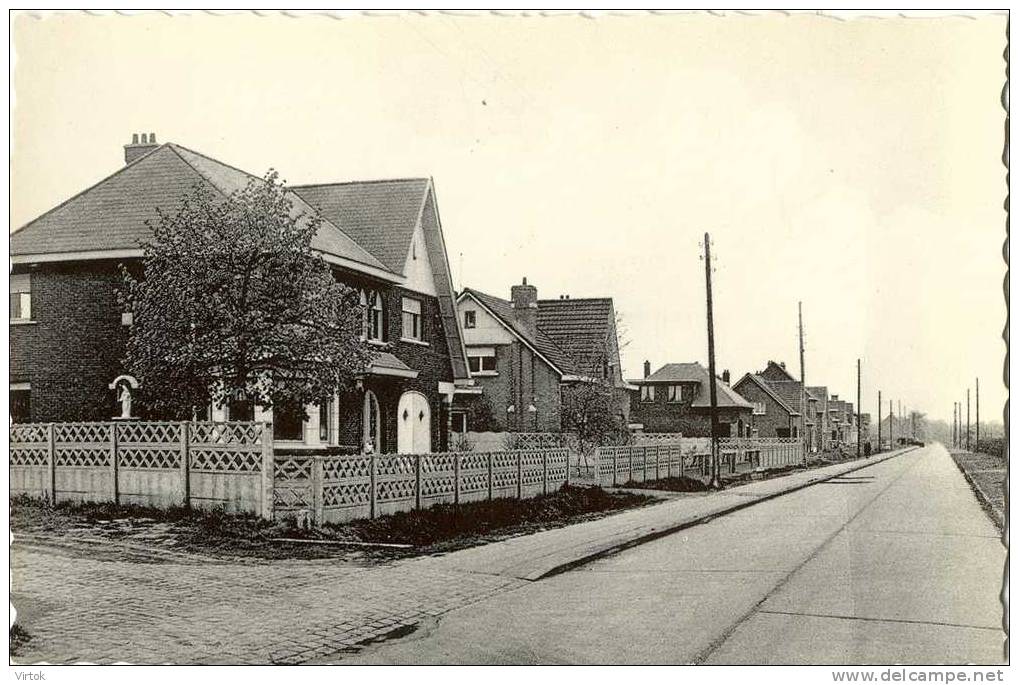 Bonheiden : Muizensteenweg - Bonheiden