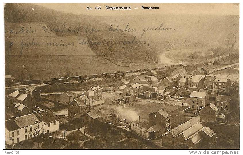 NESSONVAUX - Panorama - Trooz