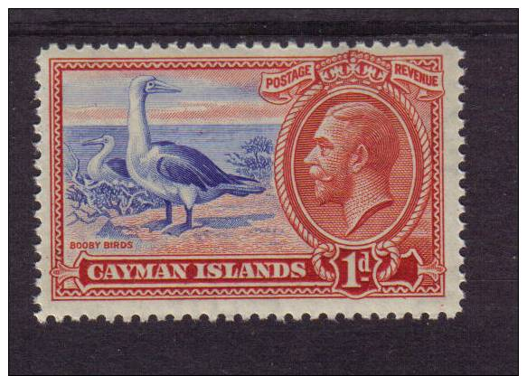 CAYMAN ISLANDS 1935 SG.98 1d BLUE & RED BOOBY BIRDS UNMOUNTED MINT  MNH KGV - Cayman Islands