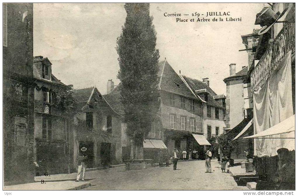CPA - 19 - JUILLAC -  Place Et Arbre De La Liberté - 241 - Juillac