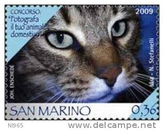 REPUBBLICA DI SAN MARINO - ANNO 2009 - CONCORSO: FOTOGRAFA IL TUO ANIMALE DOMESTICO - NUOVI ** MNH - Unused Stamps