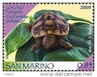 REPUBBLICA DI SAN MARINO - ANNO 2009 - CONCORSO: FOTOGRAFA IL TUO ANIMALE DOMESTICO - NUOVI ** MNH - Ungebraucht