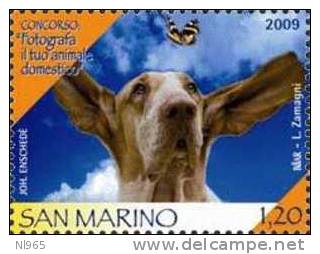 REPUBBLICA DI SAN MARINO - ANNO 2009 - CONCORSO: FOTOGRAFA IL TUO ANIMALE DOMESTICO - NUOVI ** MNH - Nuovi