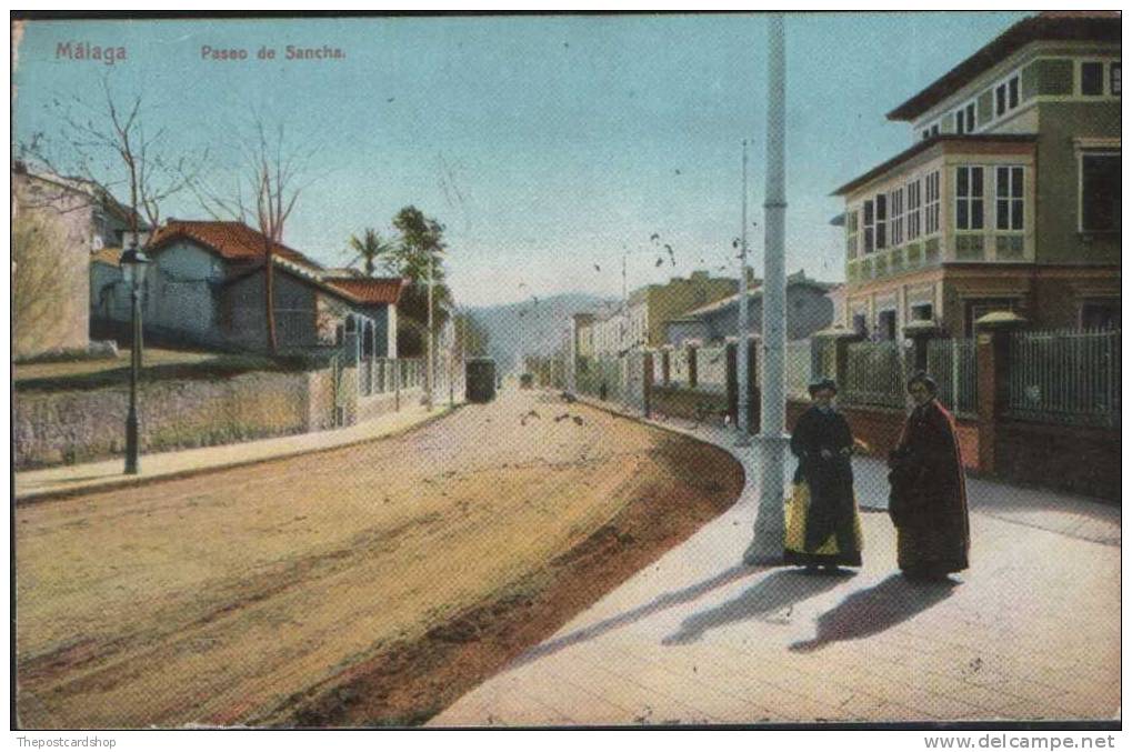 CPA Espagne Malaga PASEO DE SANCHA TRAM USED 1918 SERIE 516 No.25 EDICION KNACKSTEDT Y NATHER HAMBURG . - Málaga