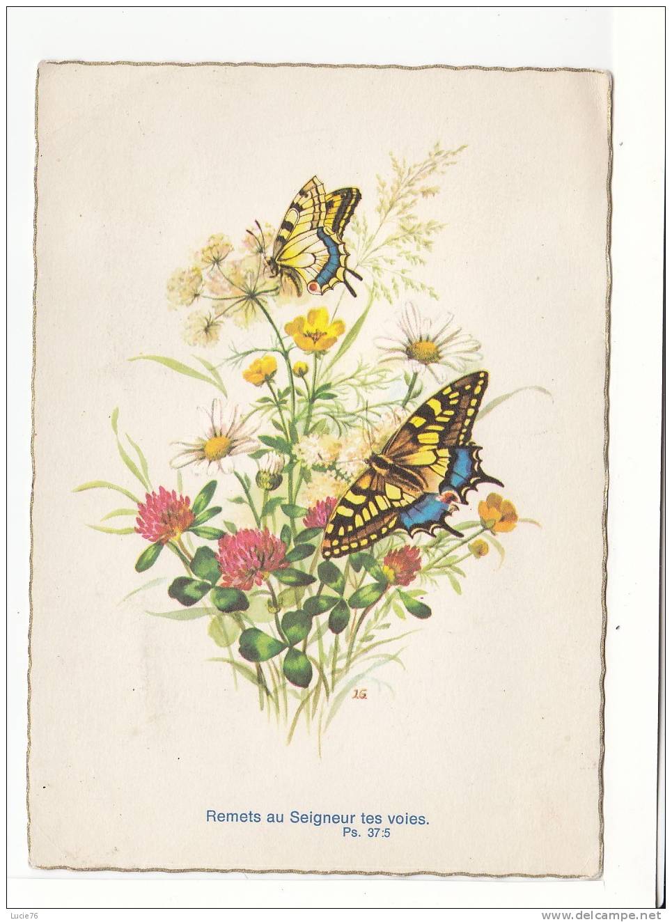 PAPILLONS  -   N°  405 1 - Butterflies