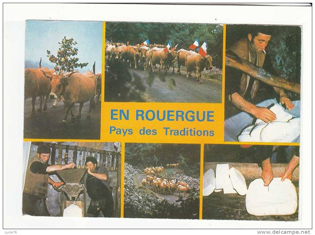 EN ROUERGUE - LA TRANSHUMANCE  - 6 Vues : Le 20 Mai, Drapeaux Et Sonnailles Au Vent, Les Troupeaux S'en Vont Rejoindre.. - Allevamenti