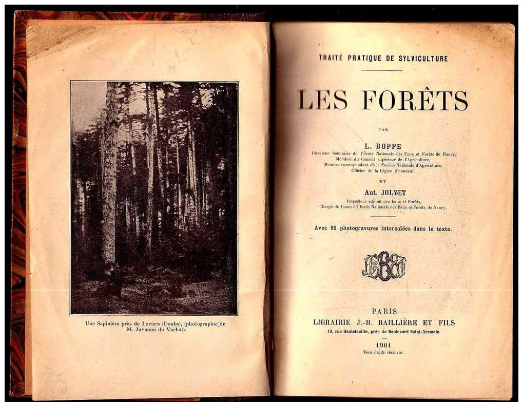 Sylviculture / LES FORÊTS Par L. Boppe & Jolyet Ed. Baillière 1901 / 95 Photogravures Dans Le Texte - Nature