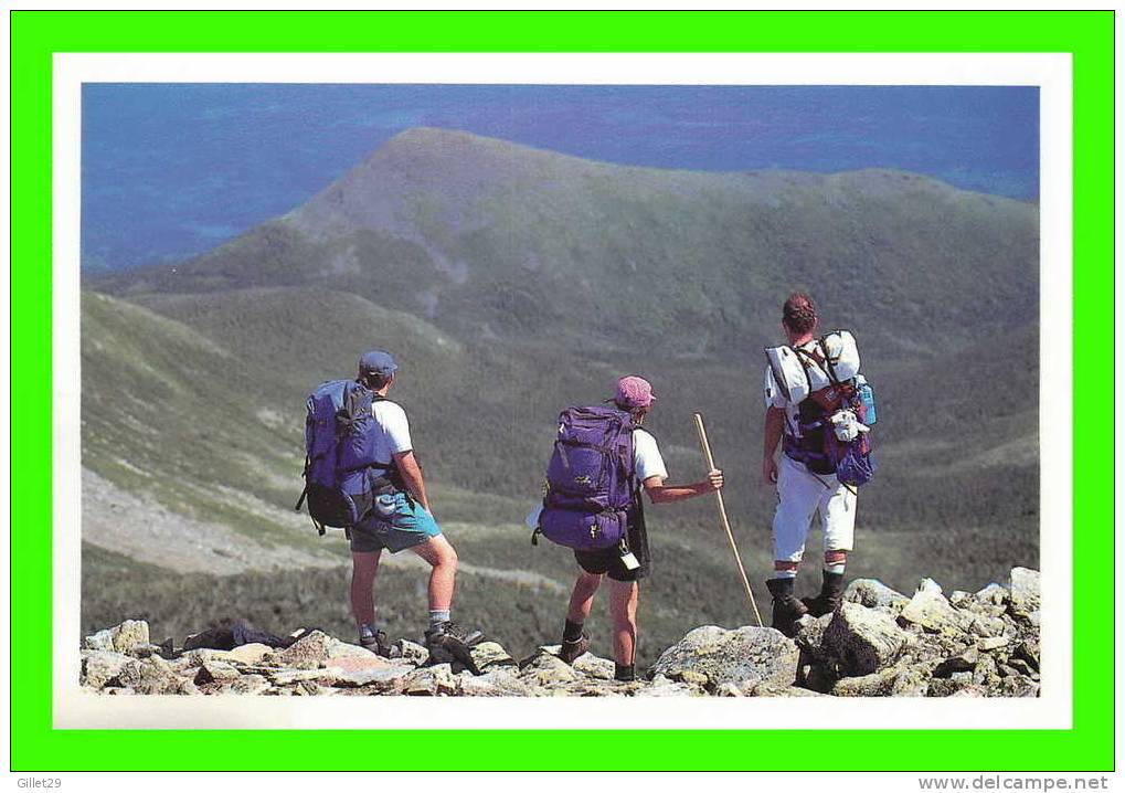 RANDONNÉE PÉDESTRE AU MONT JACQUES-CARTIER, PARC DE LA GASPÉSIE - PHOTO JEAN PIERRE HUARD - - Autres & Non Classés