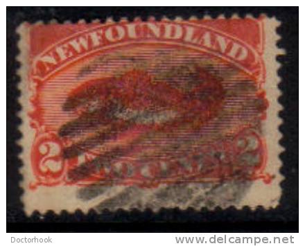 NEWFOUNDLAND   Scott #  48  F-VF USED - 1908-1947