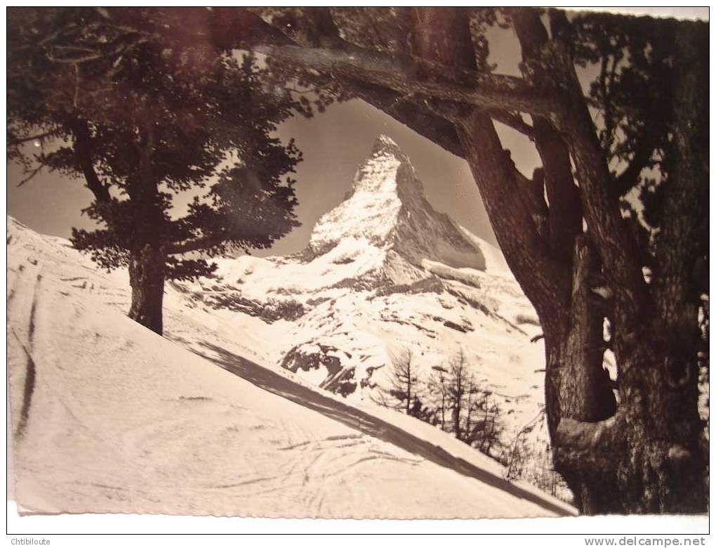 ZERMATT   L 15   / MATTERHORN    /  SUISSE /  "  VUE GENERALE  "  CPSM  10X15  ANNEES 60 A 70 - Matt