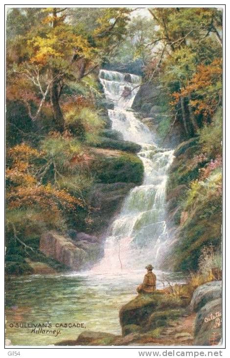 O'Sullivan's Cascade , Killarny , Illustration , Oilette  ,     - Pj65 - Autres & Non Classés