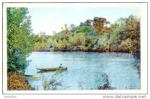 81.  GAILLAC.  PERSPECTIVE SUR LE TARN. BARQUE. PÊCHE A LA LIGNE. - Gaillac