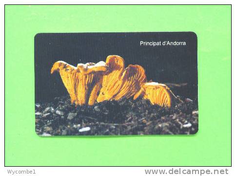 ANDORRA - Chip Phonecard/Chanterelle Mushrooms - Andorra