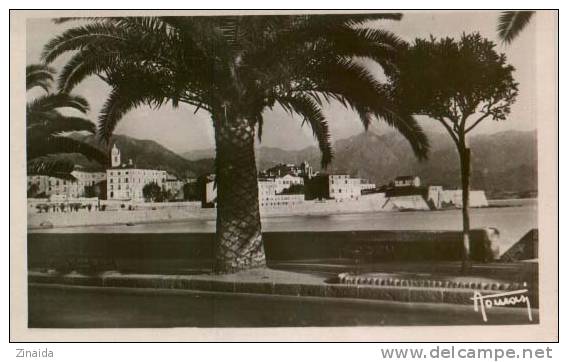 CARTE POSTALE D AJACCIO - BOULEVARD ALBERT 1er - Ajaccio