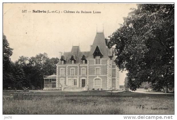 SALBRIS Chateau Du Buisson Luzas. - Salbris