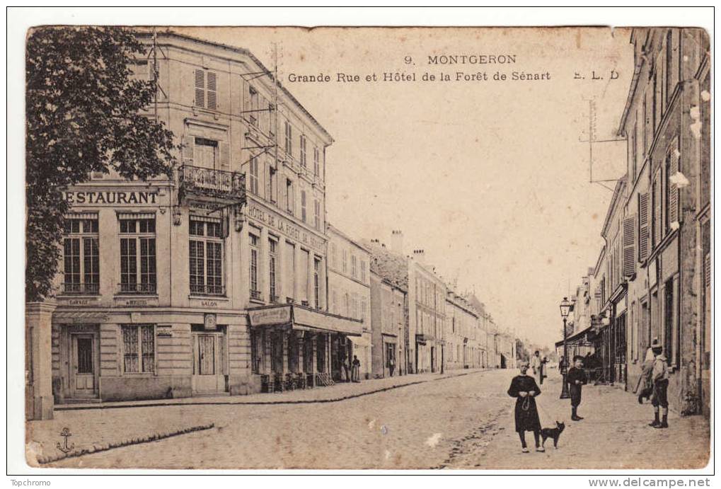 Carte Postale Animée Montgeron Grande Rue Et Hôtel De La Forêt De Sénart Enfants Chien - Montgeron