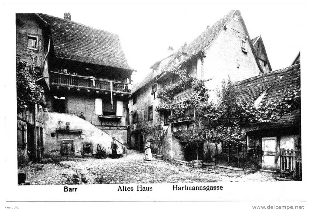 Vieille Maison HARTMANNSGASSE - Barr