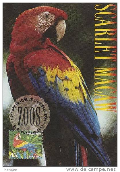 Australia-1994 Zoos Endangered Species  Scarlet Macaw   Maximum Card - Papagayos
