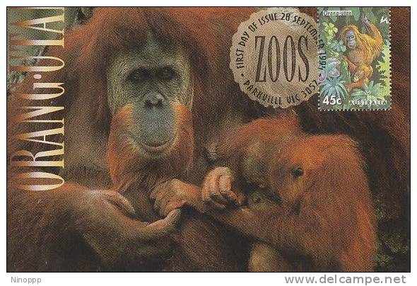 Australia-1994 Zoos Endangered Species Orang-utan  Maximum Card - Singes