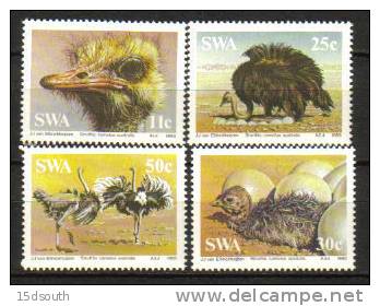 South West Africa - 1985 Ostriches Set (**) # SG 439-442 - Autruches